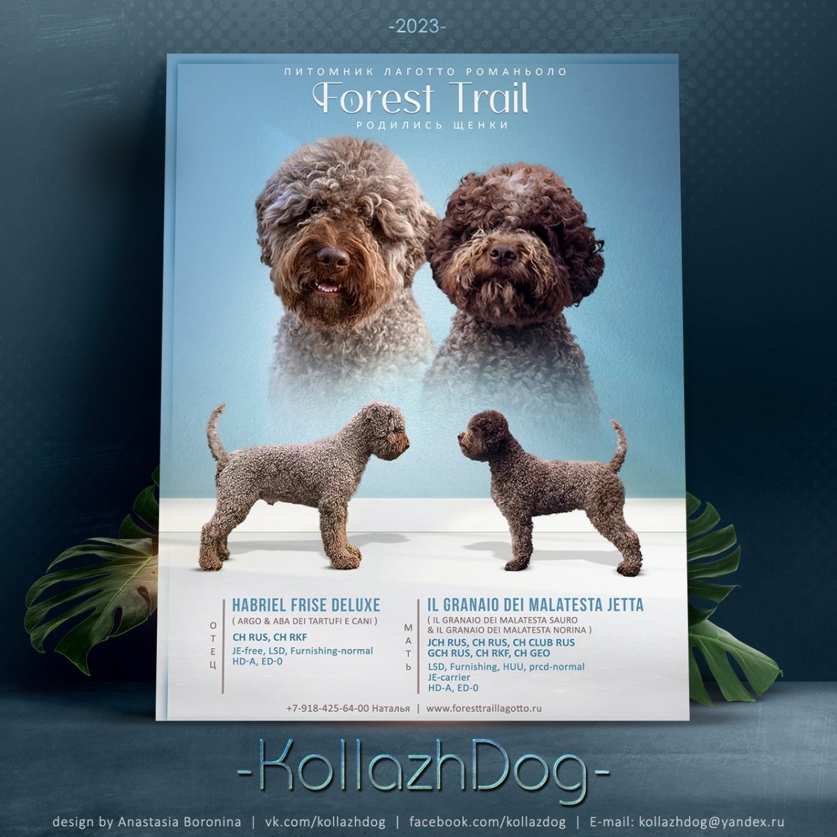 Лаготто романьоло отзывы отрицательные характеристики