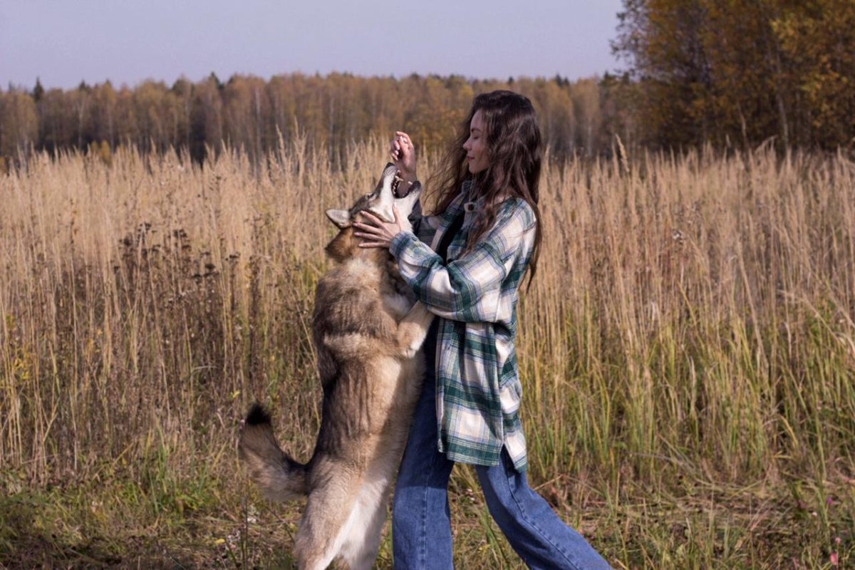 Девушка с волкособом