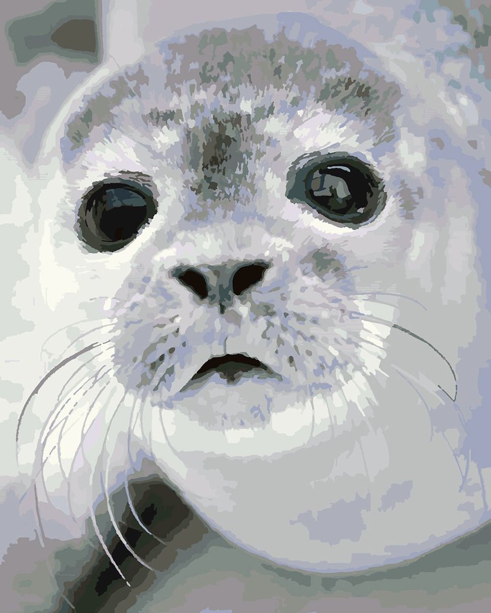 Байкальская Нерпа Белек