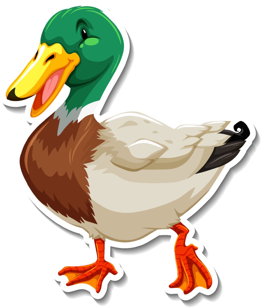 Домашние птицы