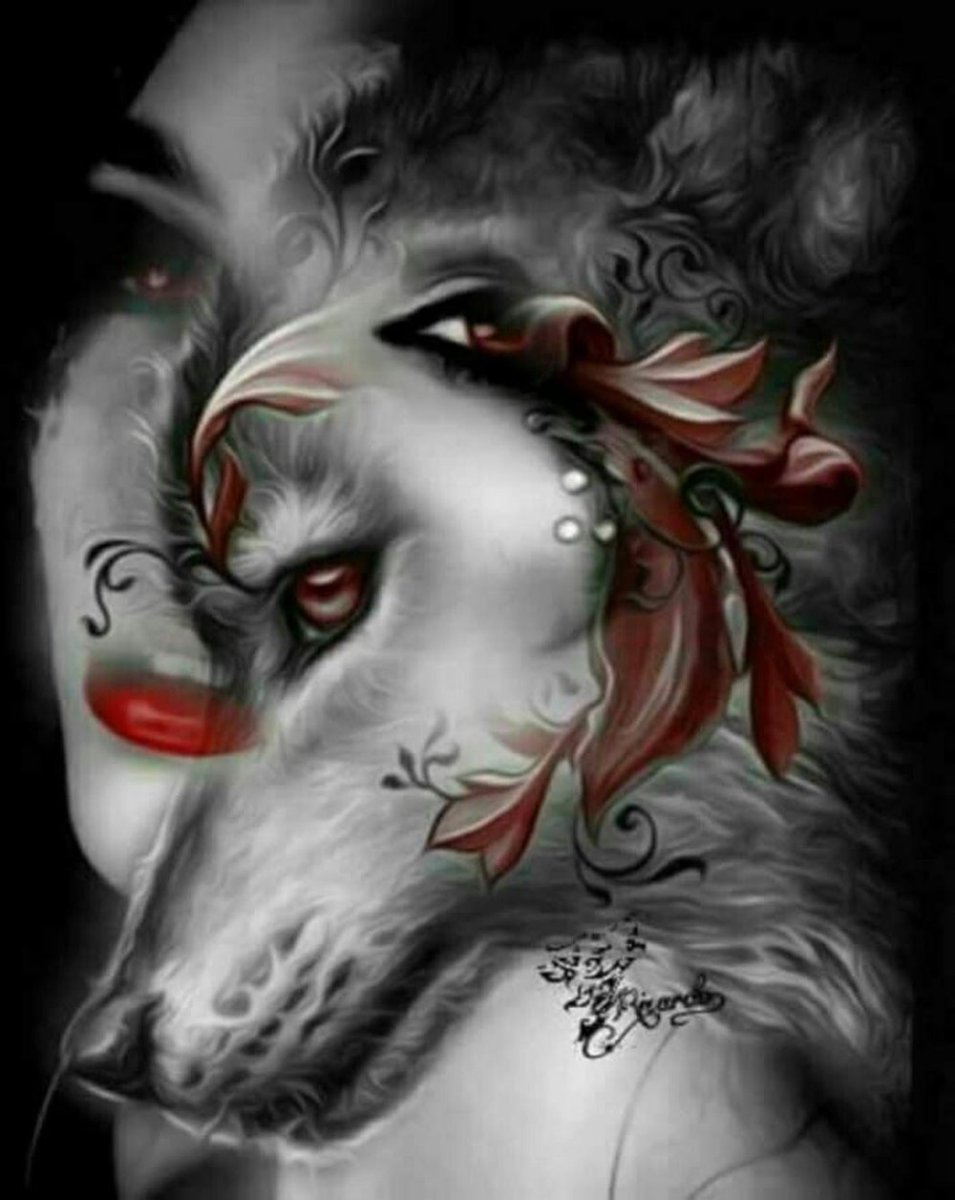 Волк с розой арт