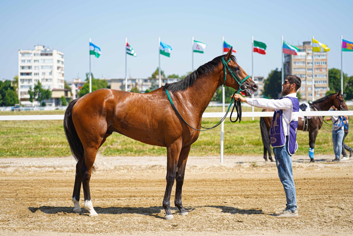 Конный завод Узбегим