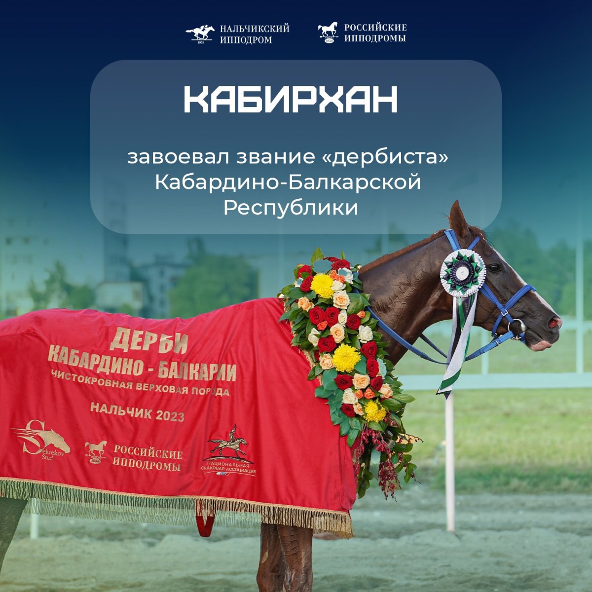 Управление лошадью