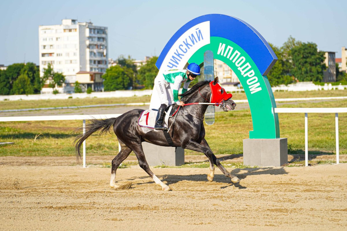 Российские ипподромы