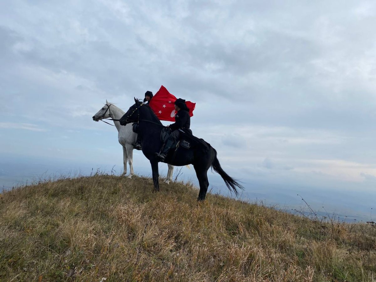 Абазинская лошадь