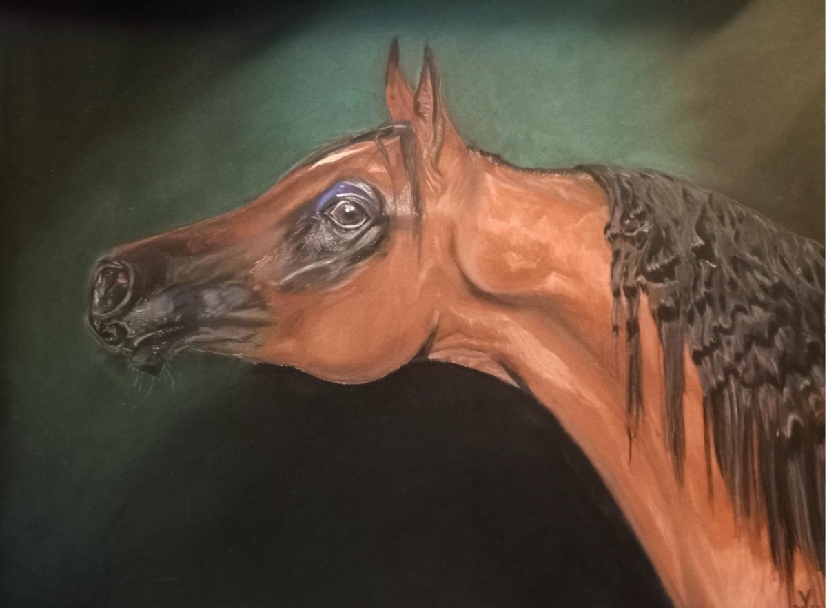 Лошадь и птица