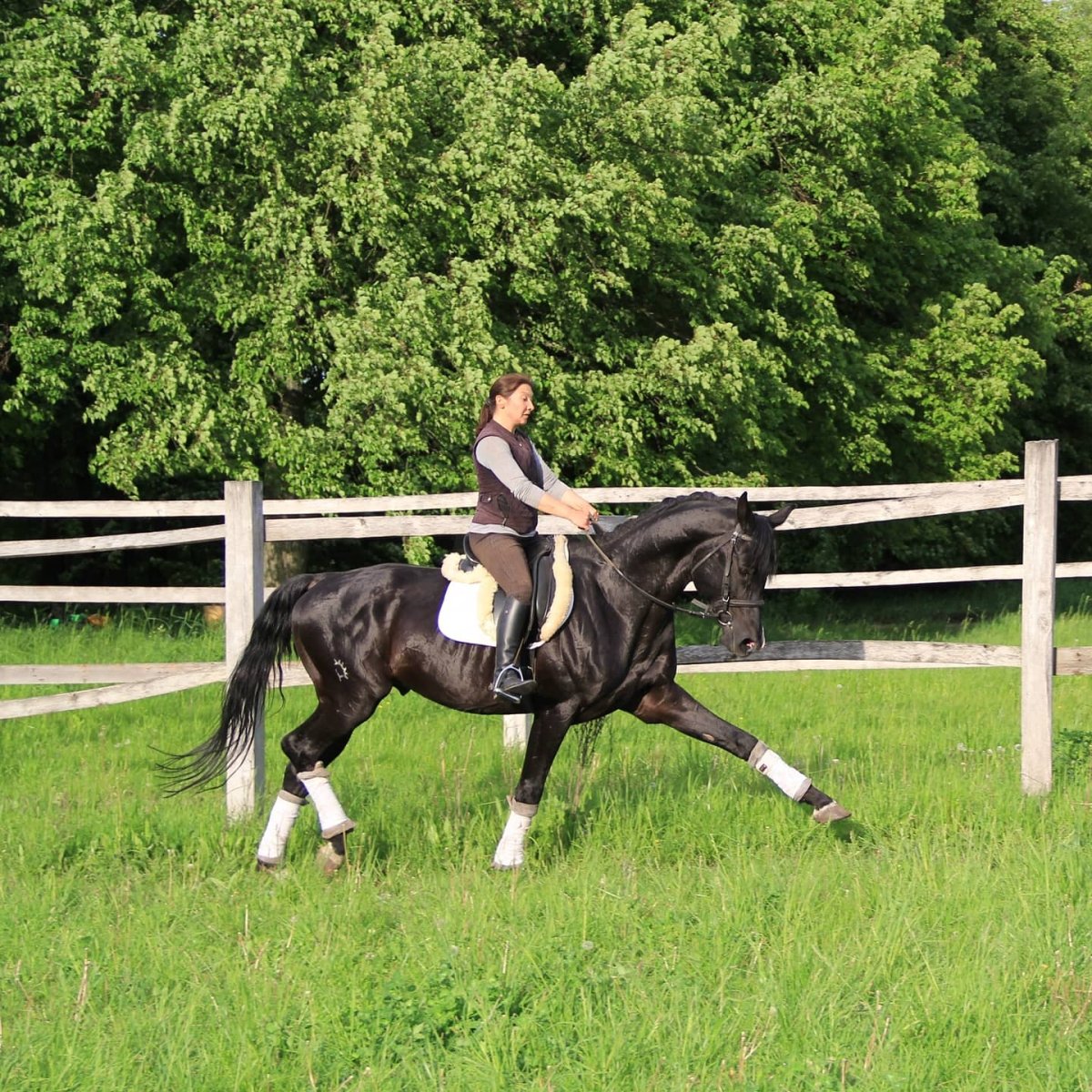 Тракененский Амир 2002