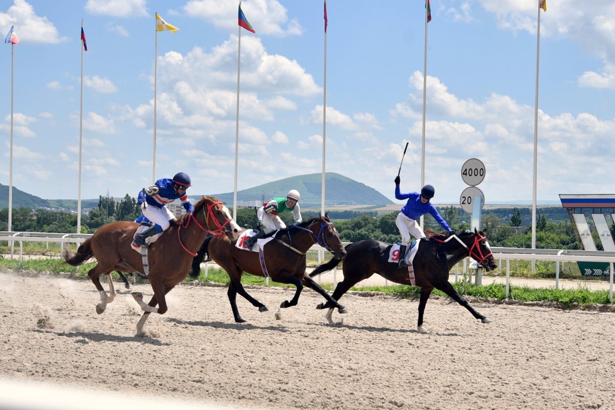 Ипподром Карачаево Черкесия