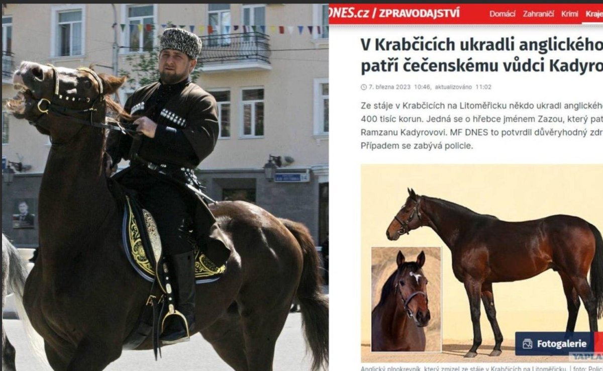 Конь Кадырова