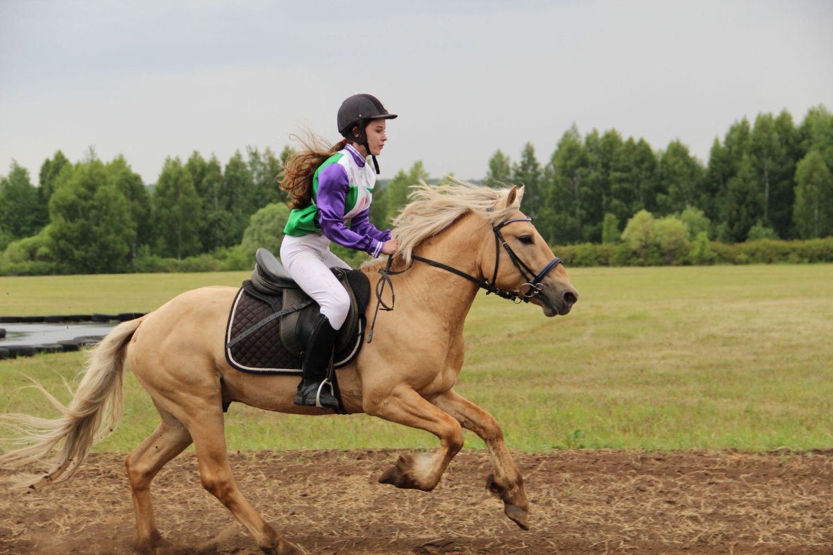 Сабантуй 2022 Заинск конный скачки