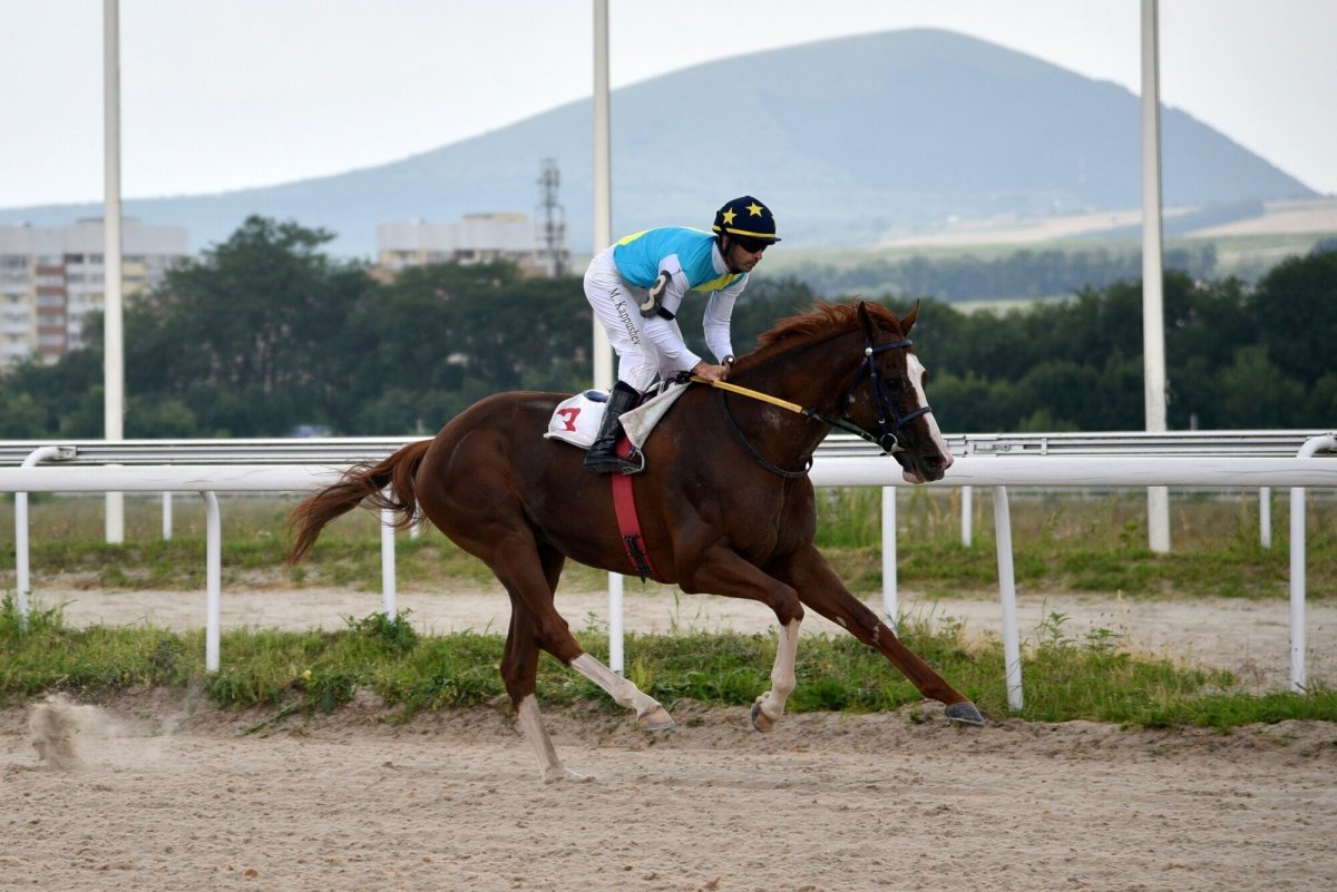 Оренбургский дерби