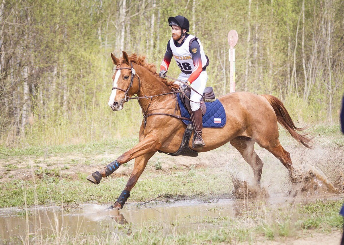 Конкур 120 см