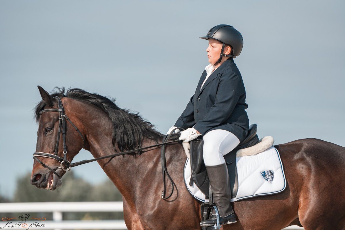 Кабирхан лошадь