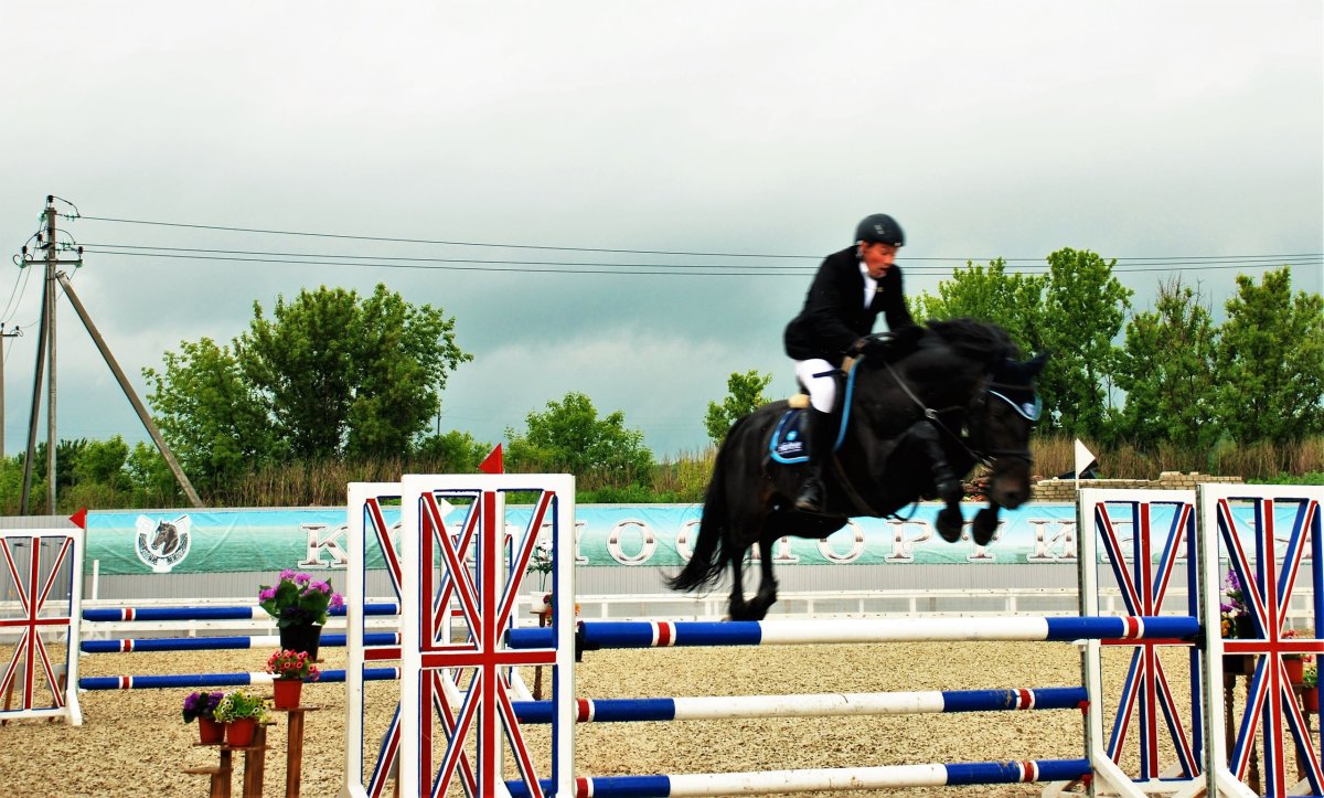 Ипподром лошади Курск