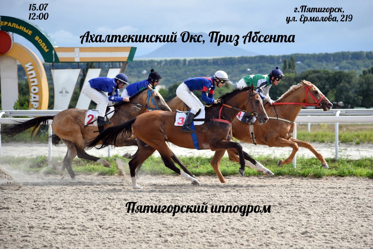 Ростовский ипподром план