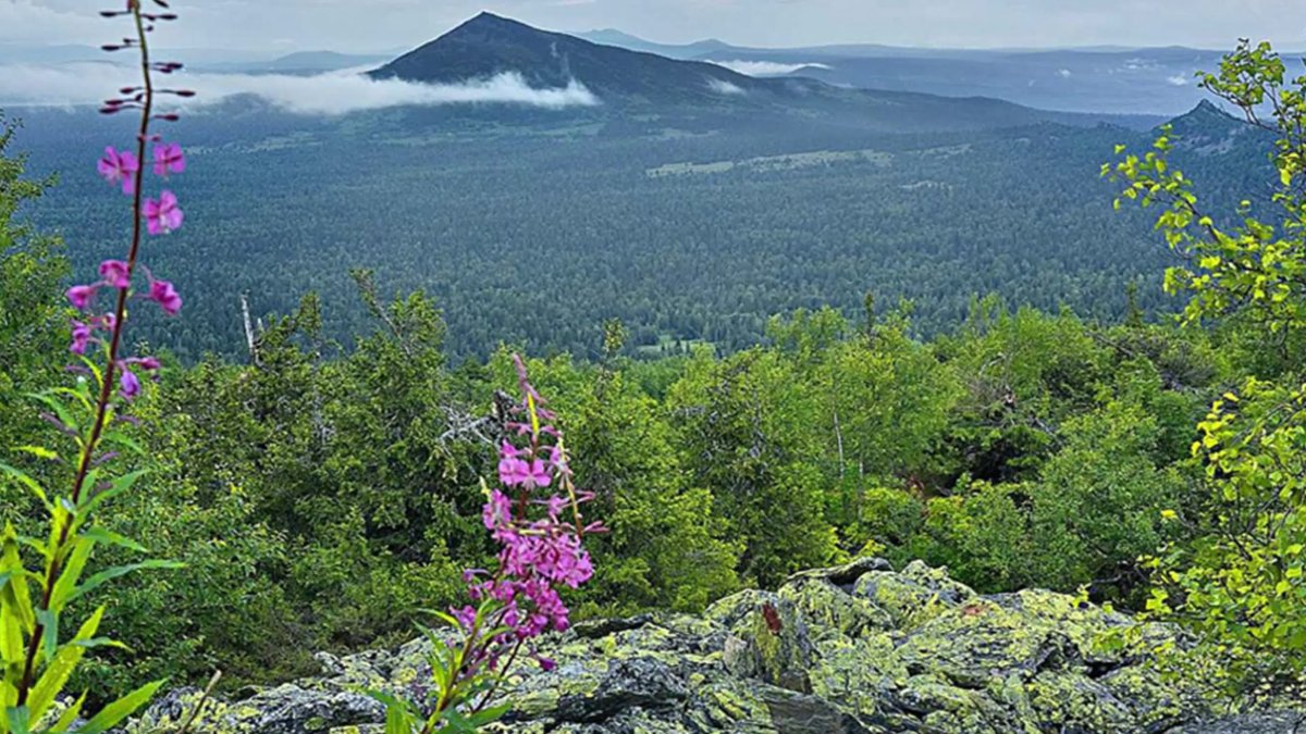 Басеги заповедник Пермский край
