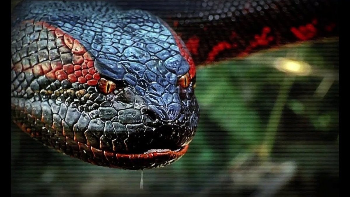 Анаконда фильм 1997 змея