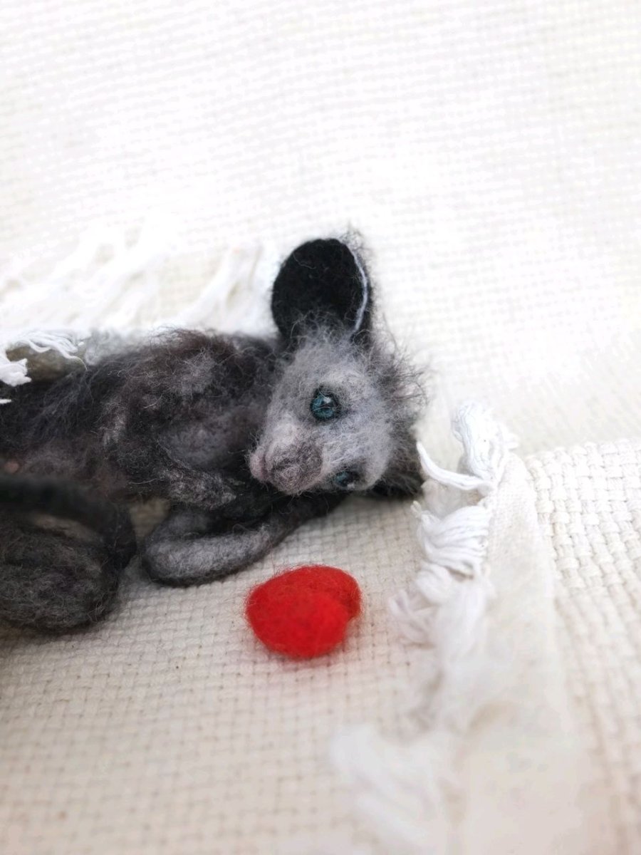 Болотная крыса чучундра