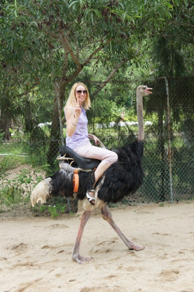Девушка на страусе