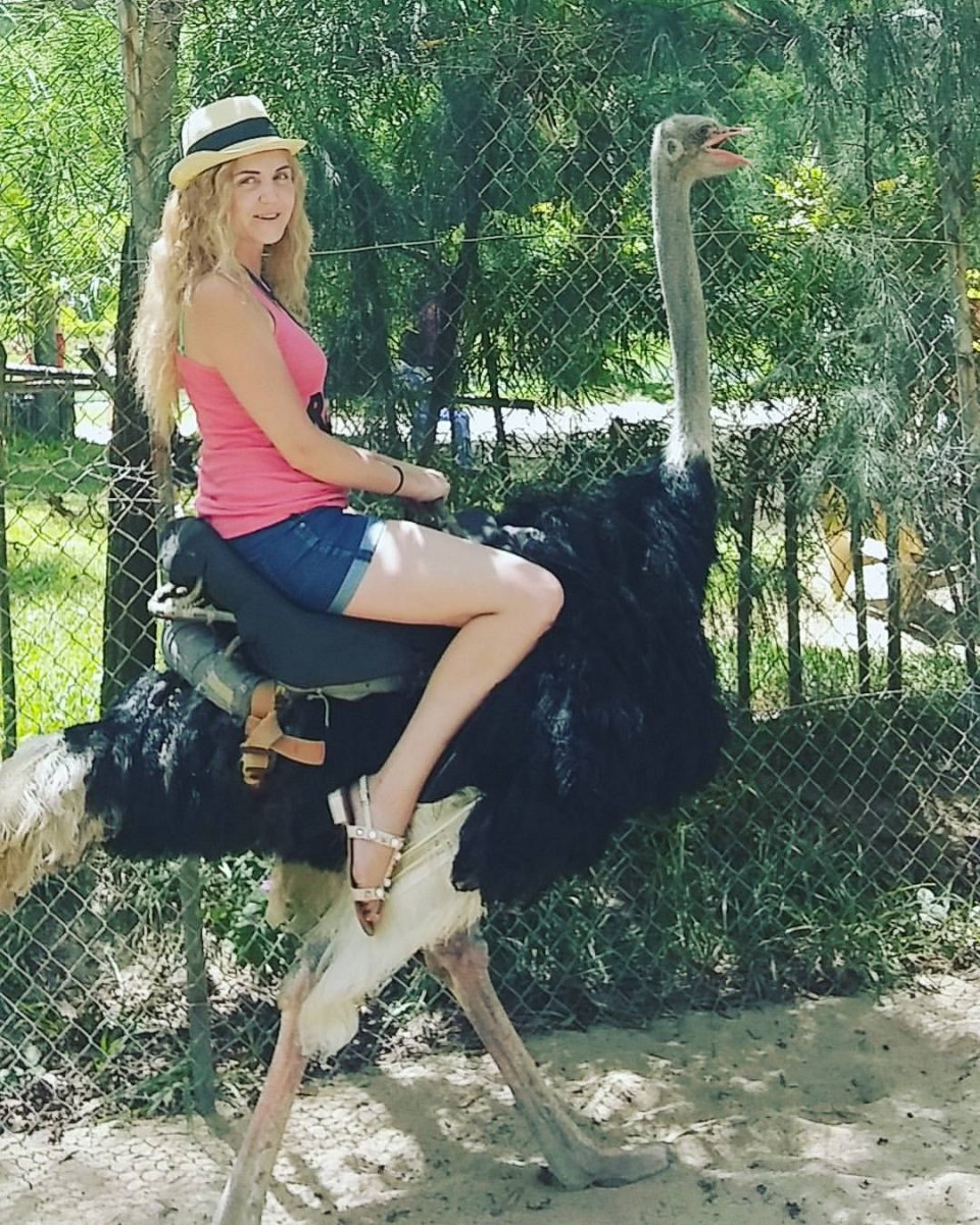 Катание на страусах