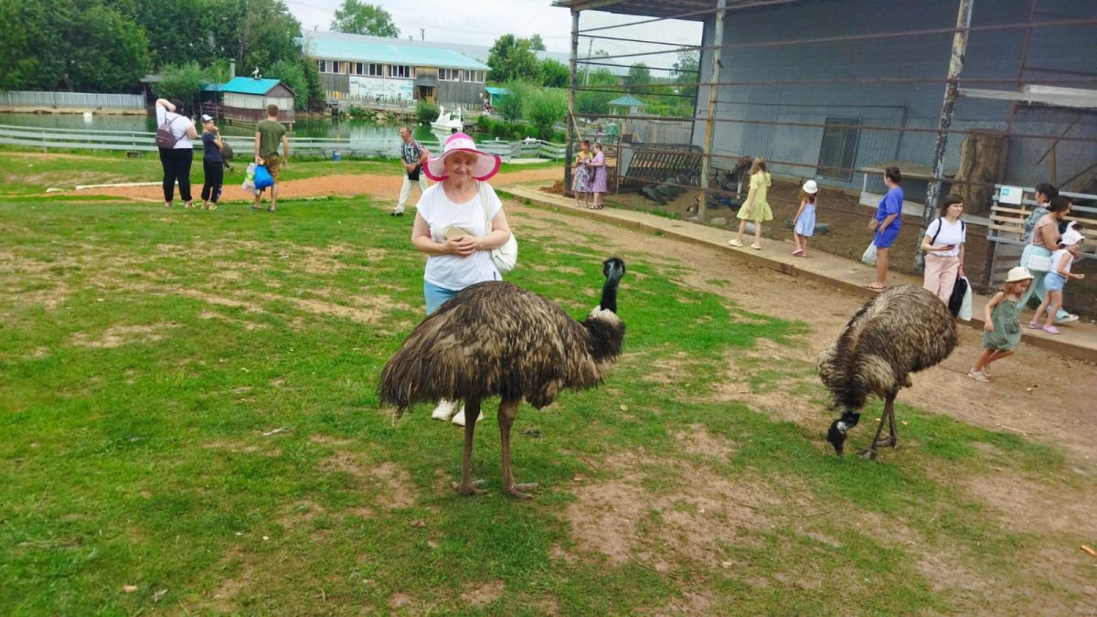 Два страусёнка много страусят страус страусёнок