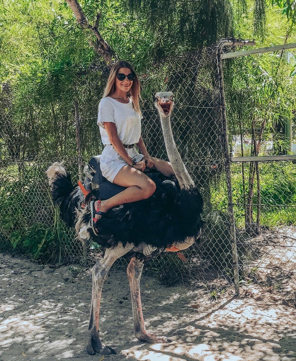 Женщина верхом на страусе