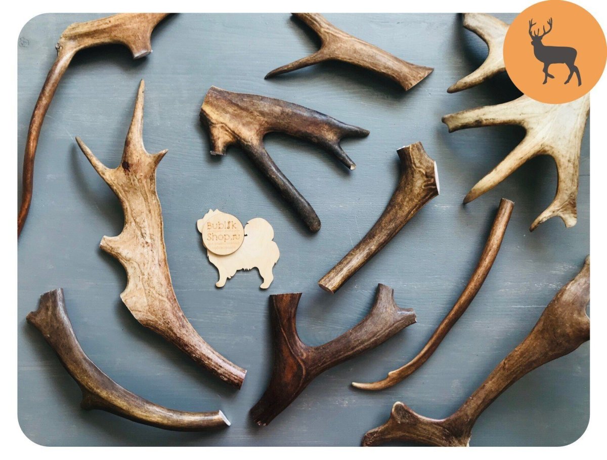 Рога "Северный олень"