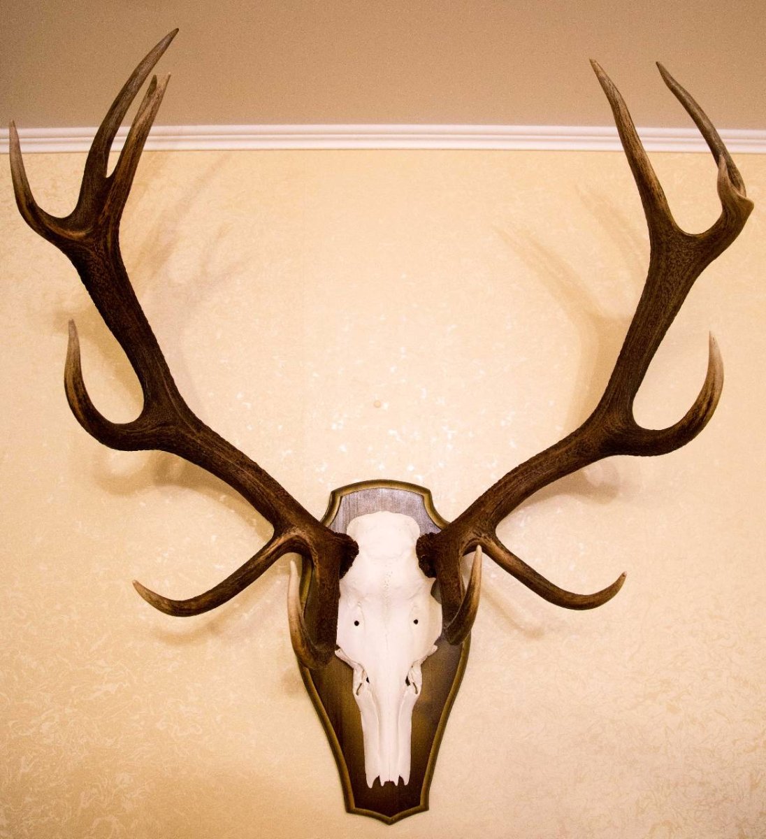 Олень с розами