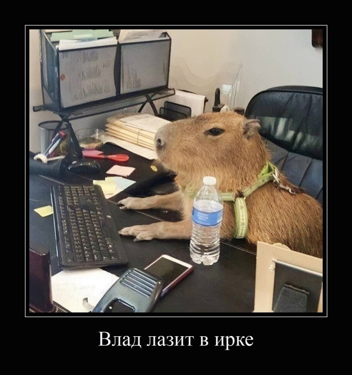 Мышка для работы