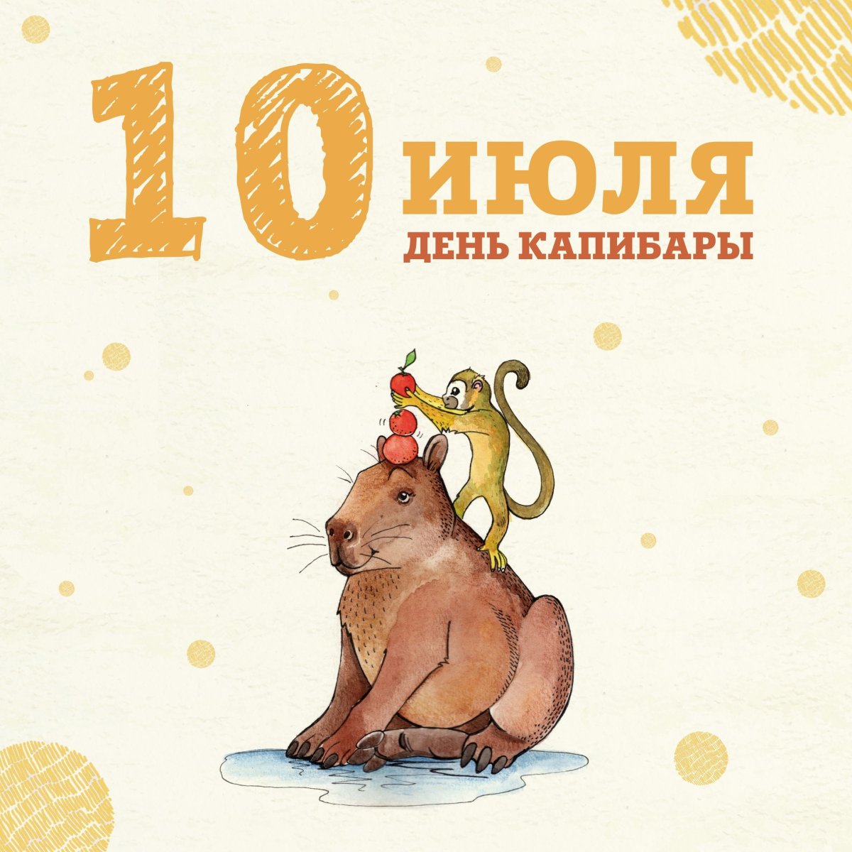 Ленинградский зоопарк капибара