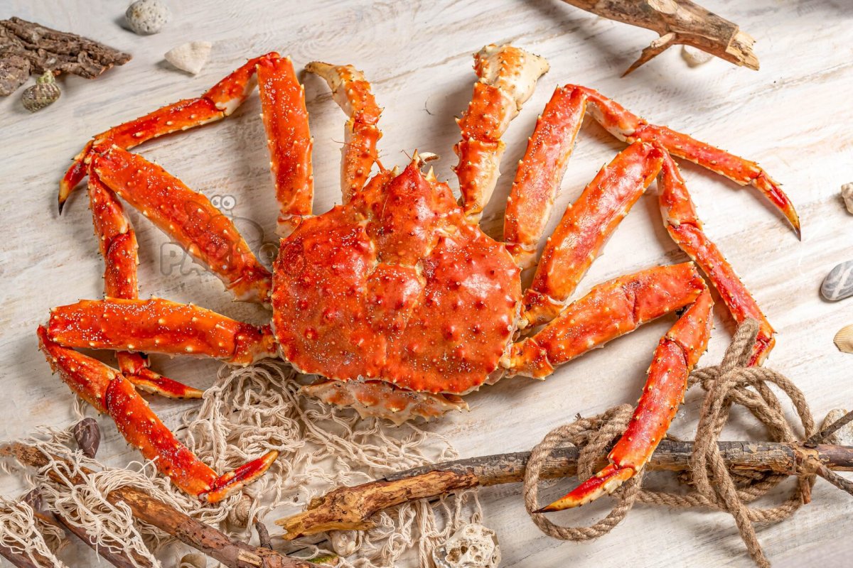 Краб Камчатский подарочный