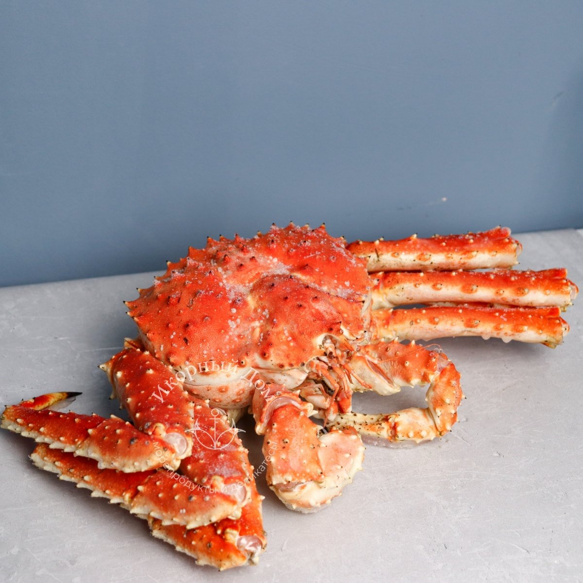 Камчатский Королевский краб