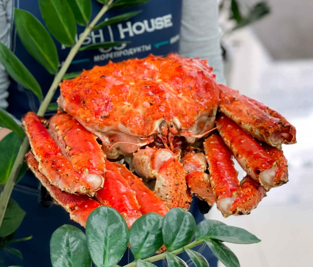 Краб Камчатский