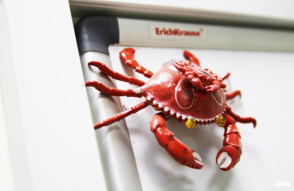 Мерч океана ВДЦ краб