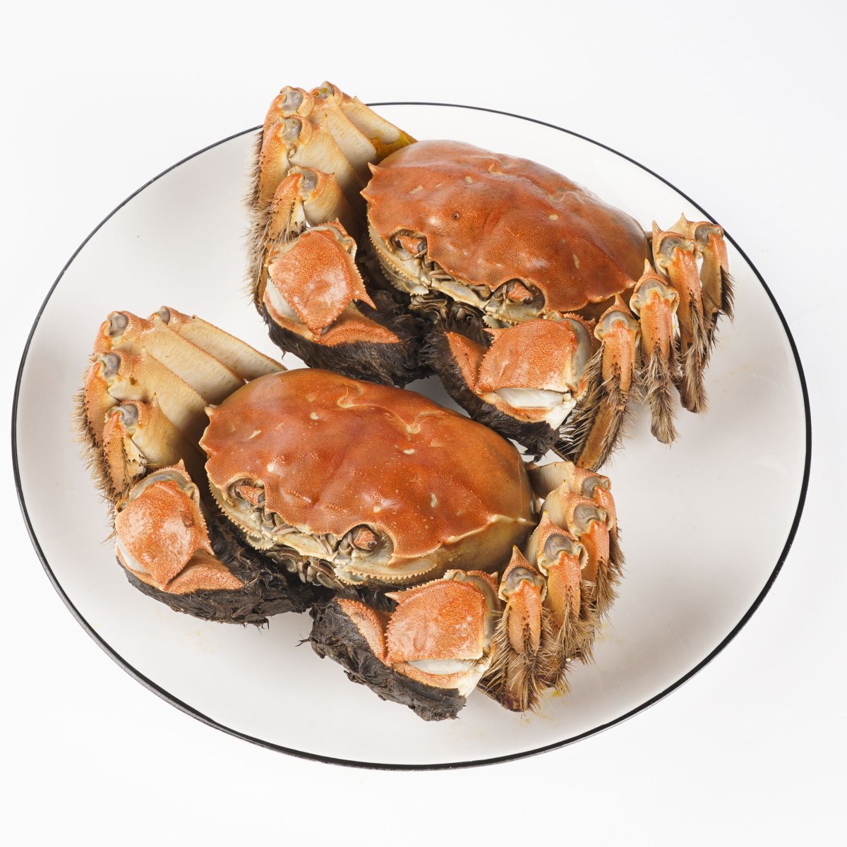 Краб Скалистый