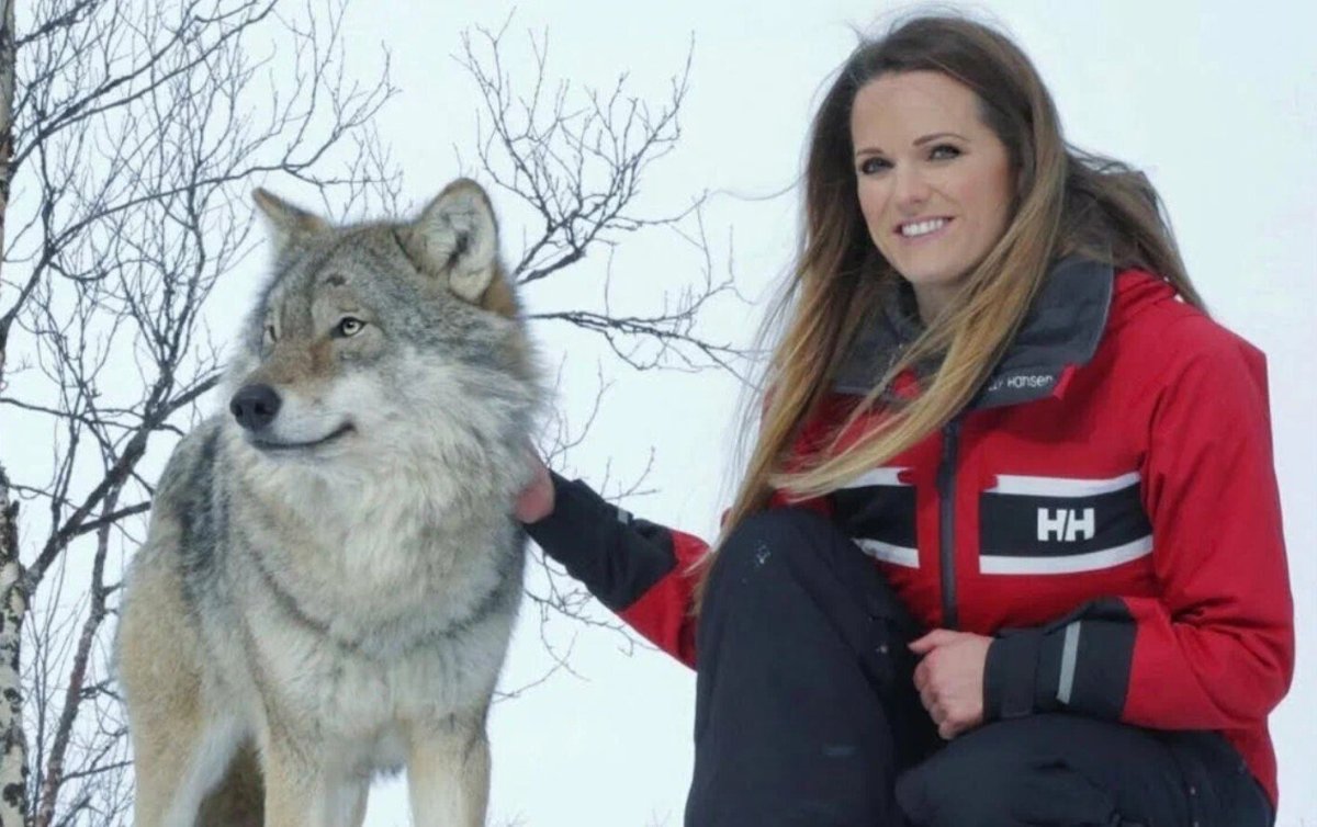 Норвежка с волками