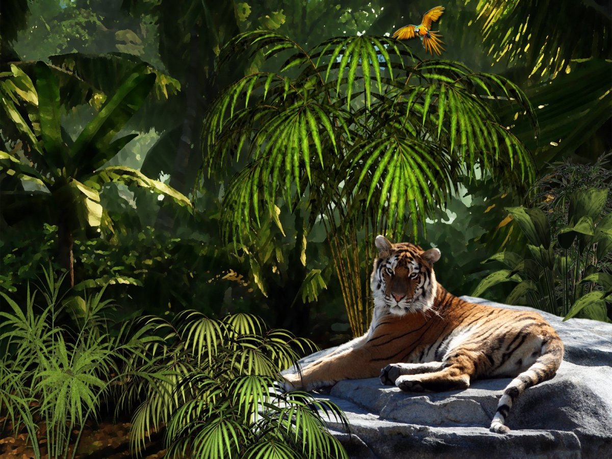 Тигр Джангл