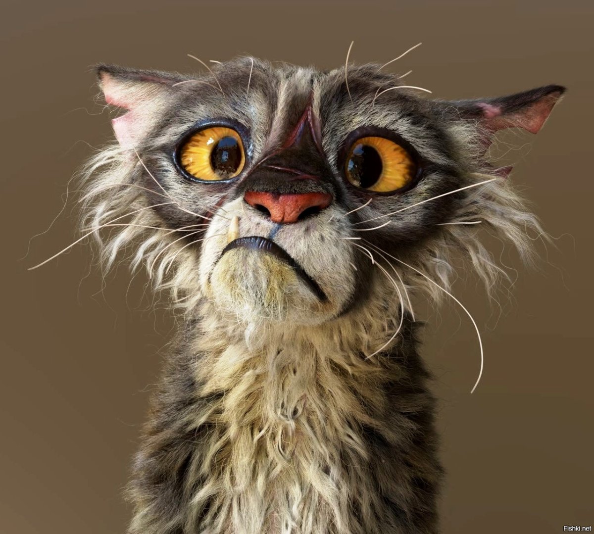 Растрепанная кошка