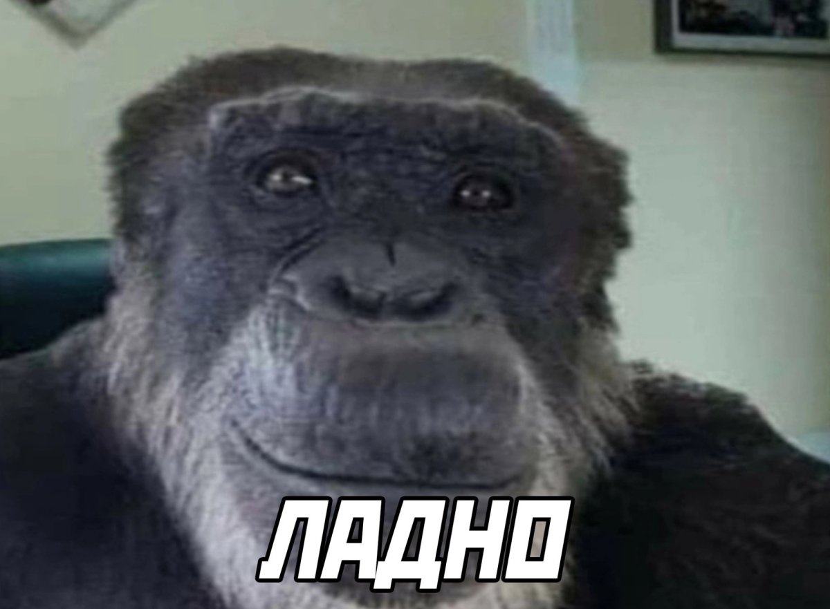 Обезьяна с телефоном