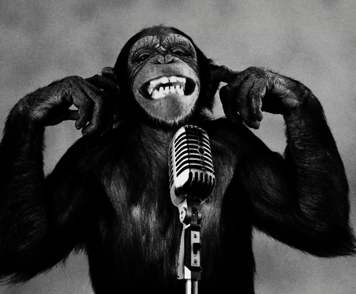 Обезьяна с пистолетом