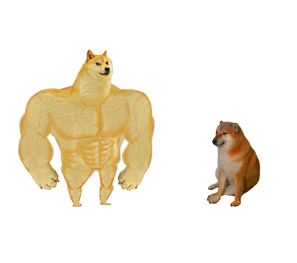 Doge качок