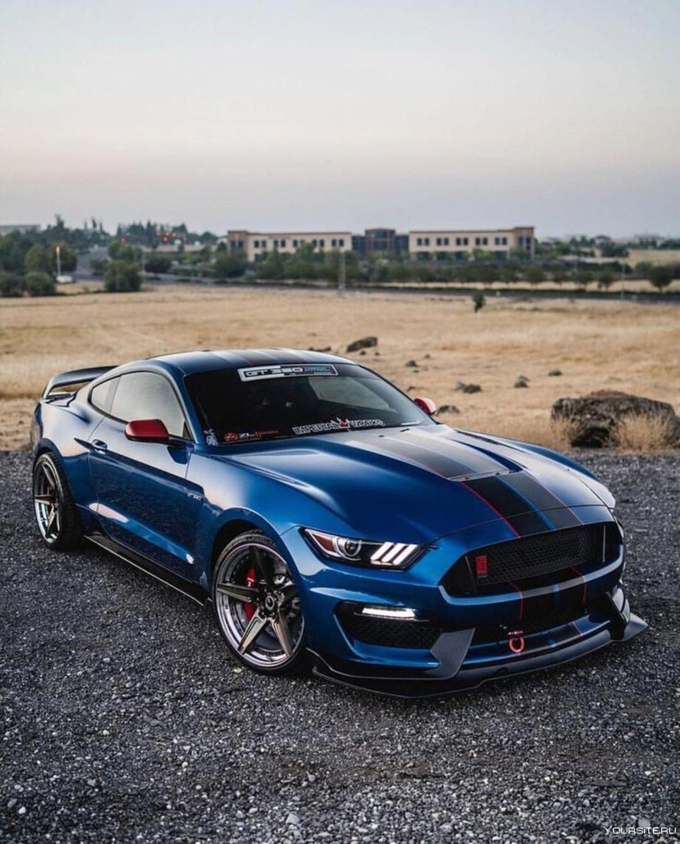Ford Shelby gt350r