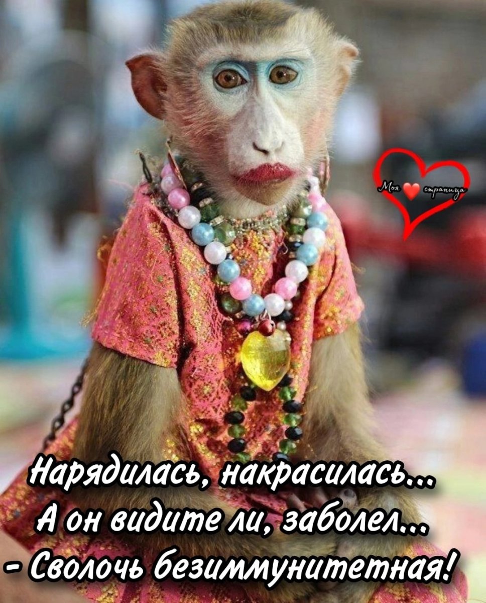 Накрашенная обезьяна
