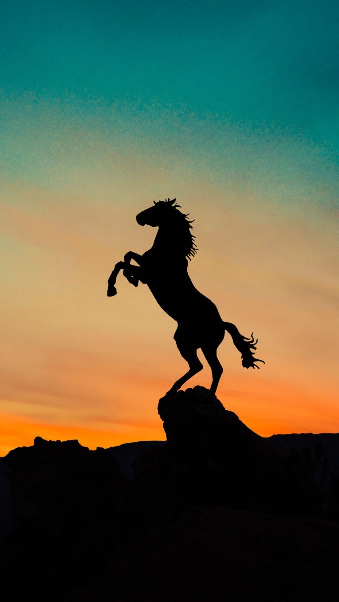 Лошади на закате