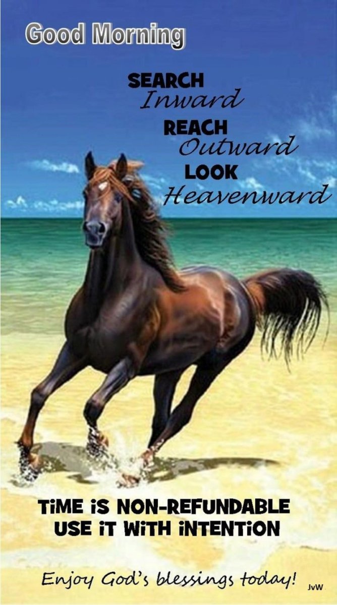 Лошадь бежит