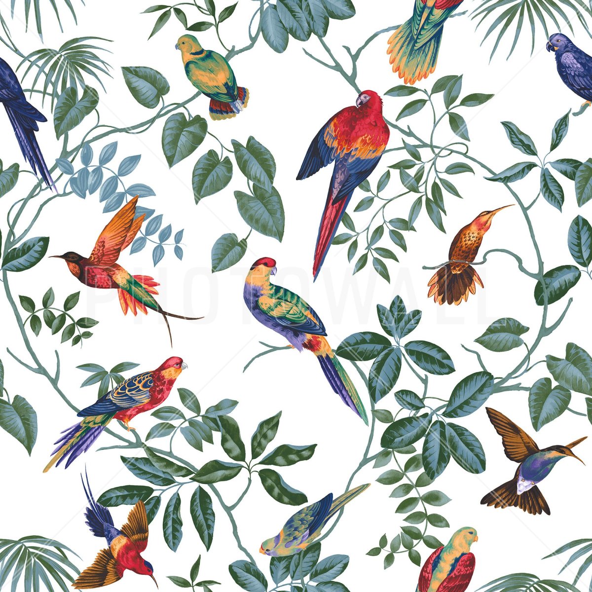 Паттерн птички