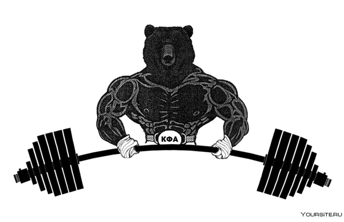 Медведь качок