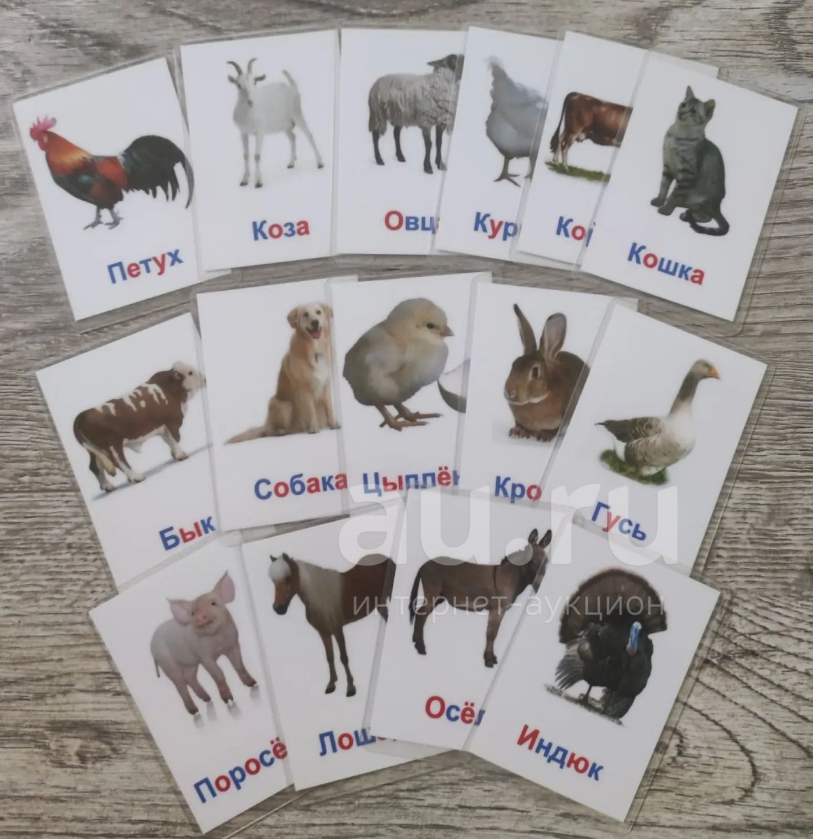 Раздаточные карточки домашние животные