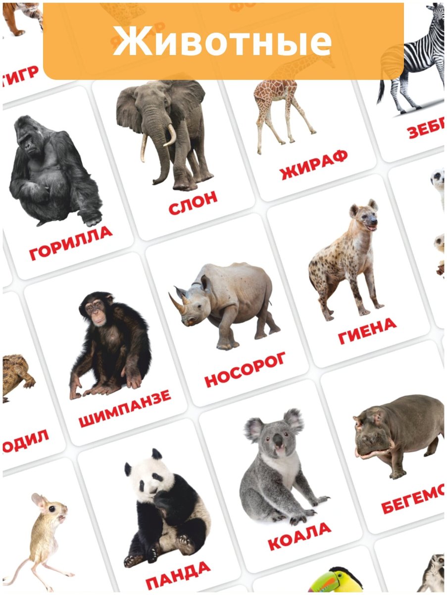 Карточки Домана развивающие 9 тем 90 шт домашние животные