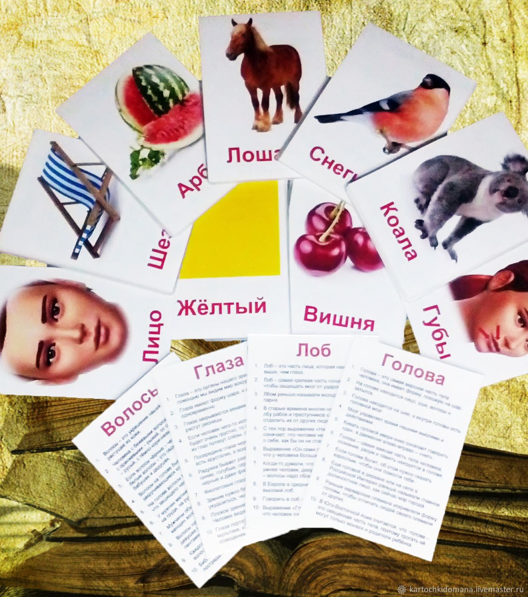 Американские развивающие карточки